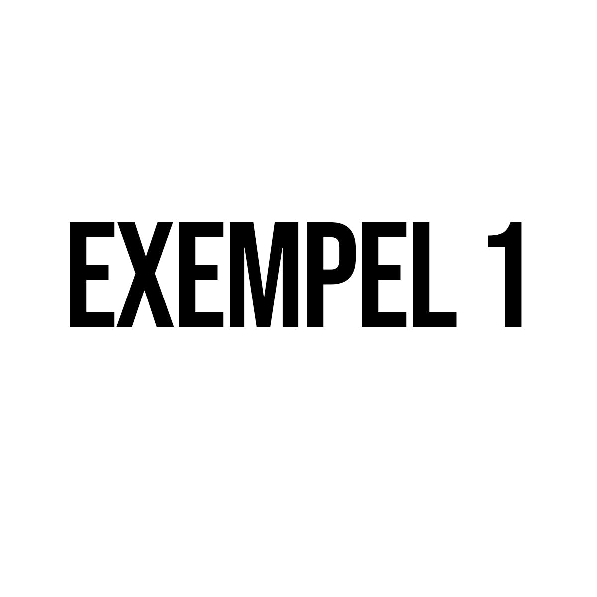 EXEMPEL #1