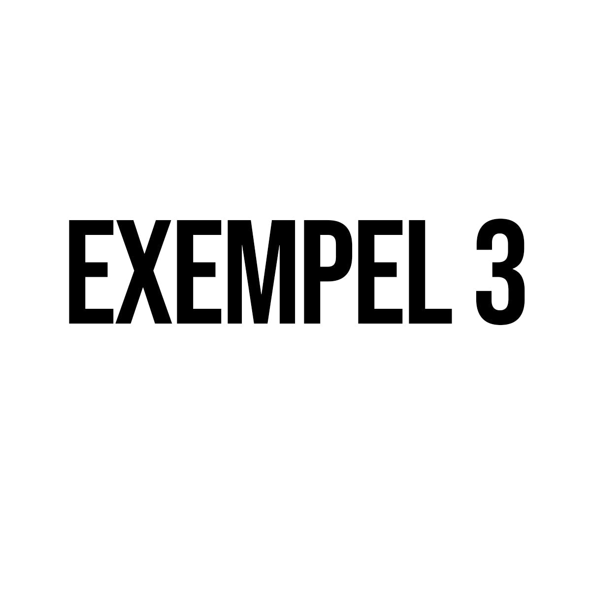 exempel 3